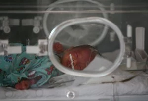 Golden Pig Year Sparks Baby-Boom In China