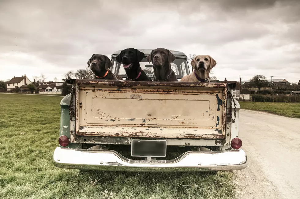 A Third of Texans Name Their Pickup Trucks