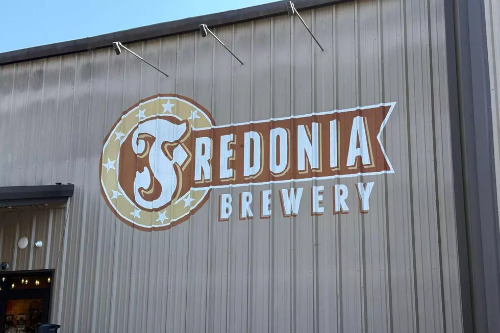 Fredonia Brewery Marks Nine Years With Music, Food, And Festivities